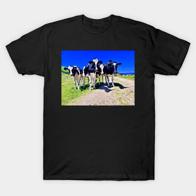 Cows on the Alm T-Shirt by Sturmlechner